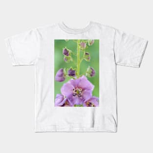 Verbascum  &amp;#39;Sugar Plum&amp;#39;  Mullein Kids T-Shirt